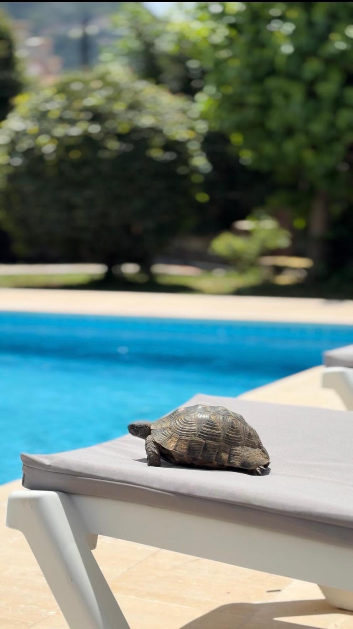Villa Xanthos 301 Олудениз Экстерьер фото
